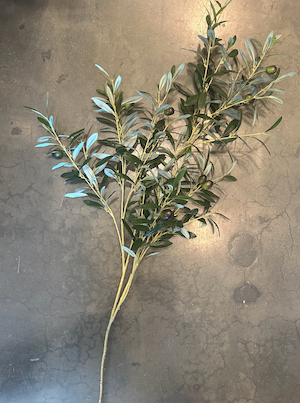 Olive Branch Stem